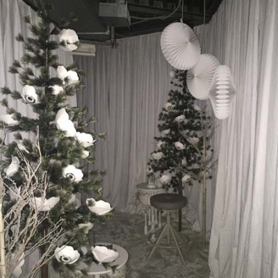 Decorative room with trees, white flowers, paper fans, and white drapes.