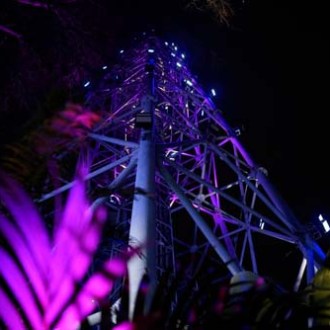 Lit-up steel structure at night with purple lights and foliage in foreground.